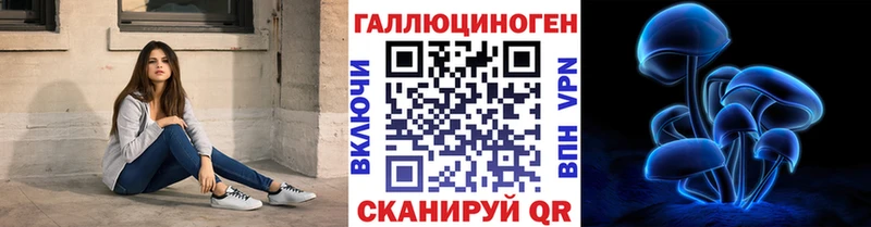 магазин    Новоаннинский  Псилоцибиновые грибы MAGIC MUSHROOMS 